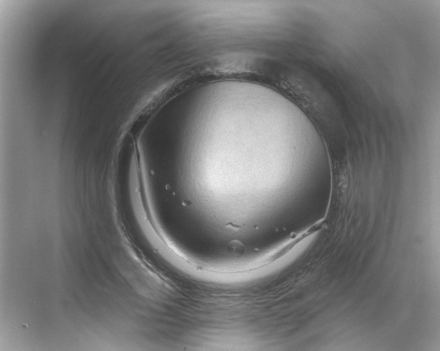 X0000068740732200605121543