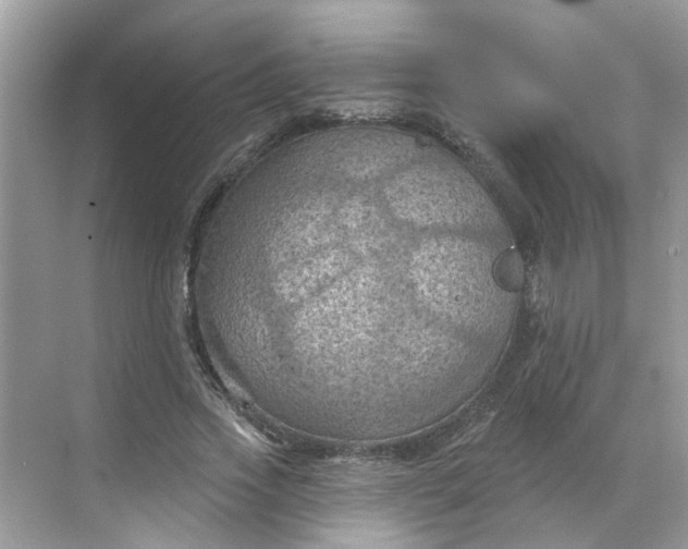 X0000068740733200605121543