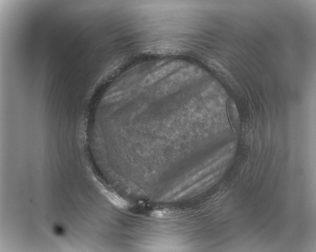 X0000068740735200605121543