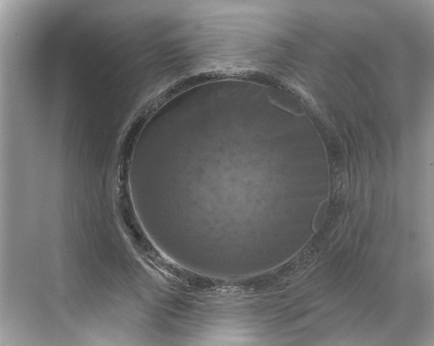 X0000068740736200605121543