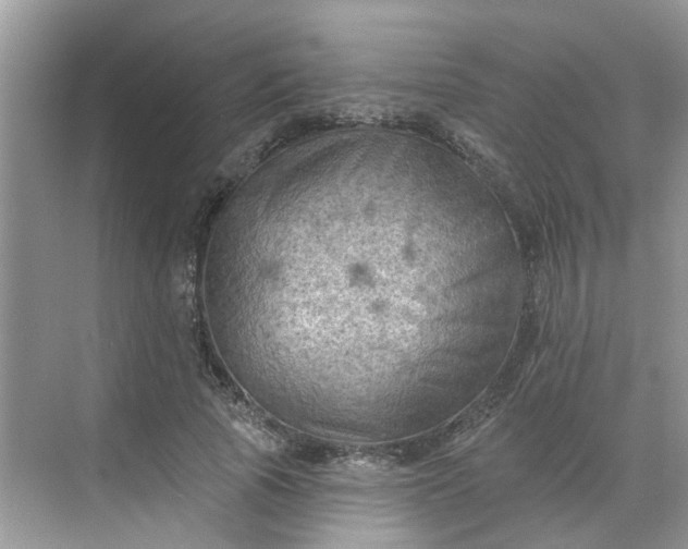 X0000068740737200605121543