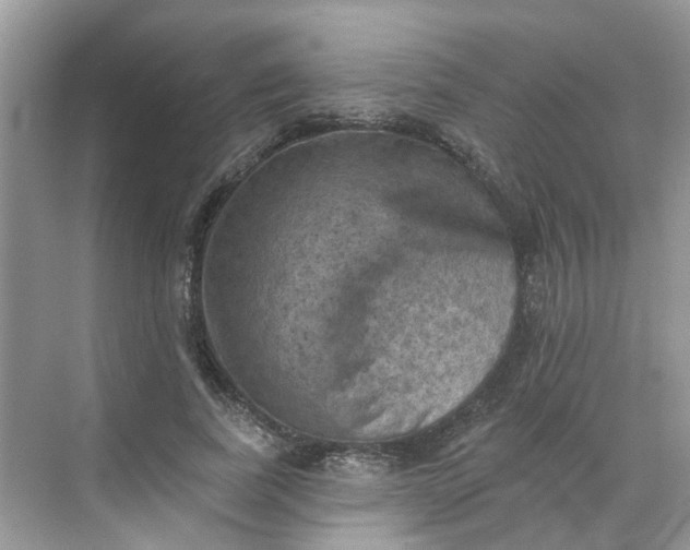 X0000068740739200605121543