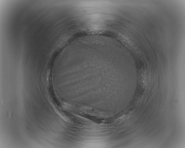 X0000068740742200605121543