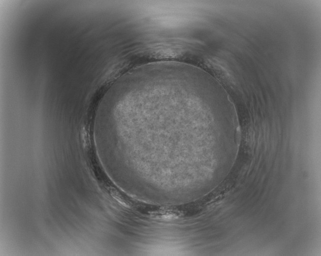 X0000068740743200605121543