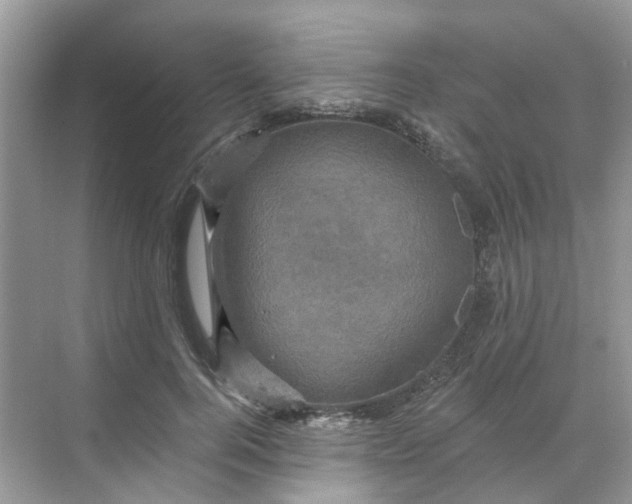 X0000068740744200605121543