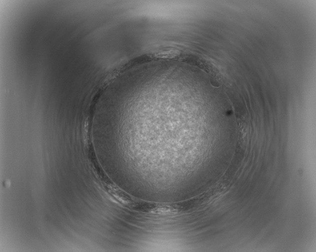 X0000068740745200605121543