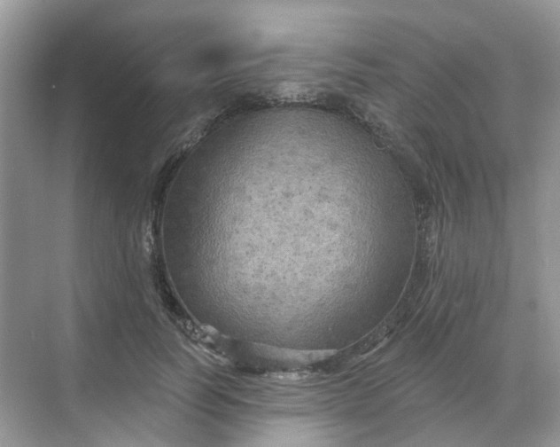 X0000068740746200605121543