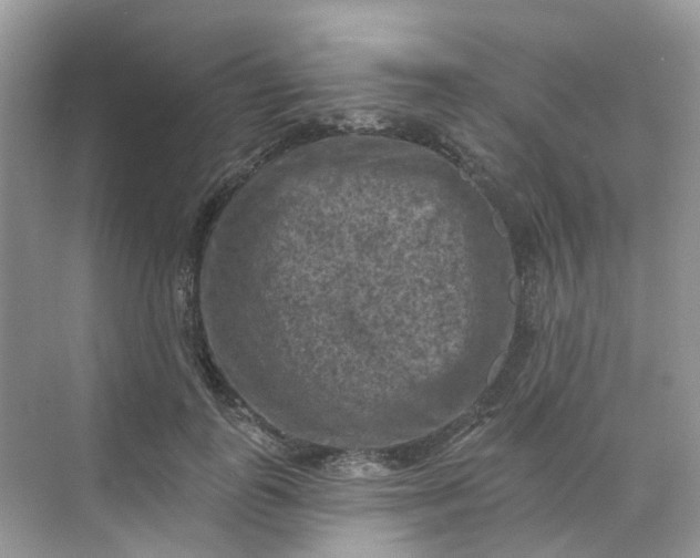 X0000068740747200605121543