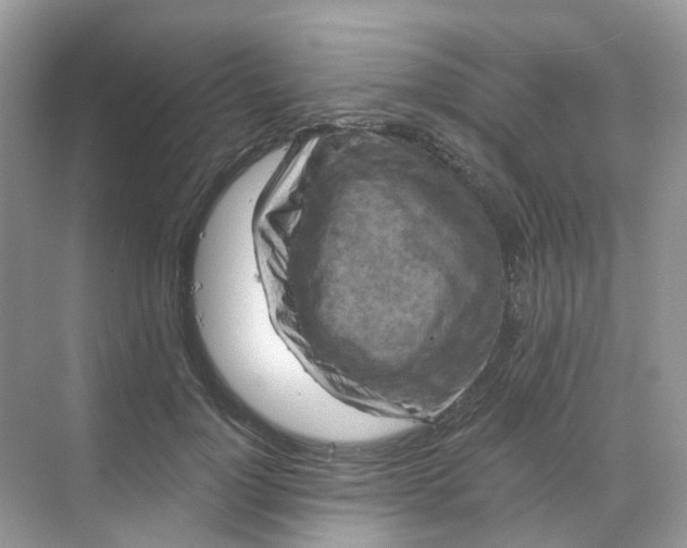 X0000068740748200605121543