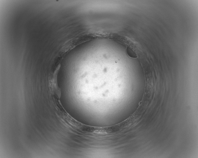 X0000068740749200605121543