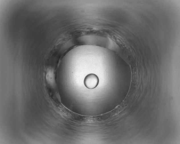 X0000068740750200605121543