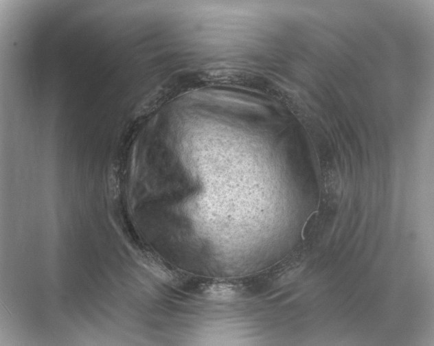 X0000068740751200605121543