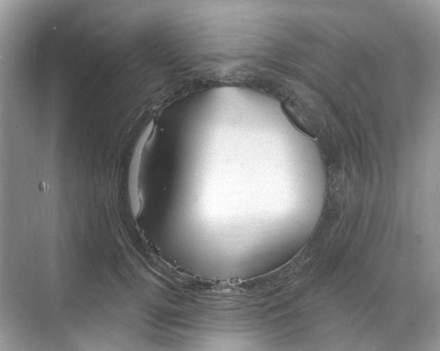 X0000068740752200605121543