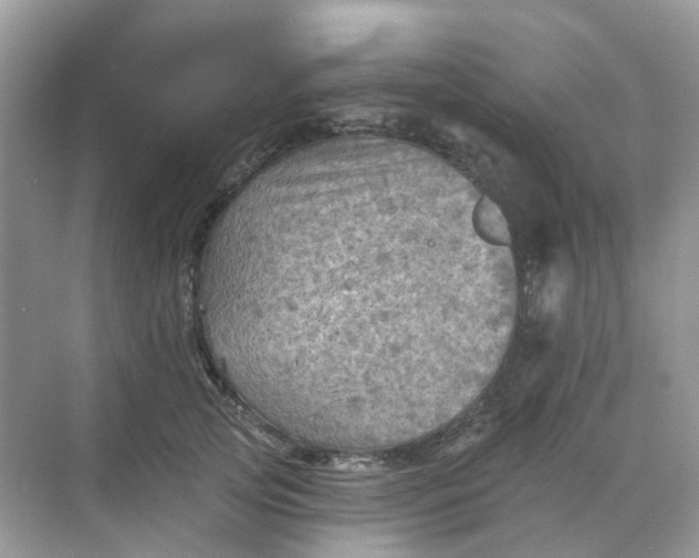 X0000068740753200605121543