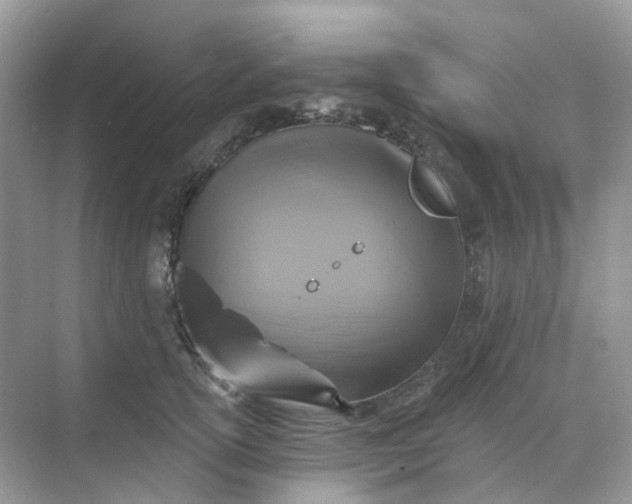 X0000068740754200605121543