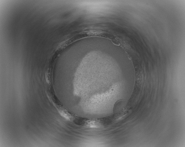 X0000068740755200605121543