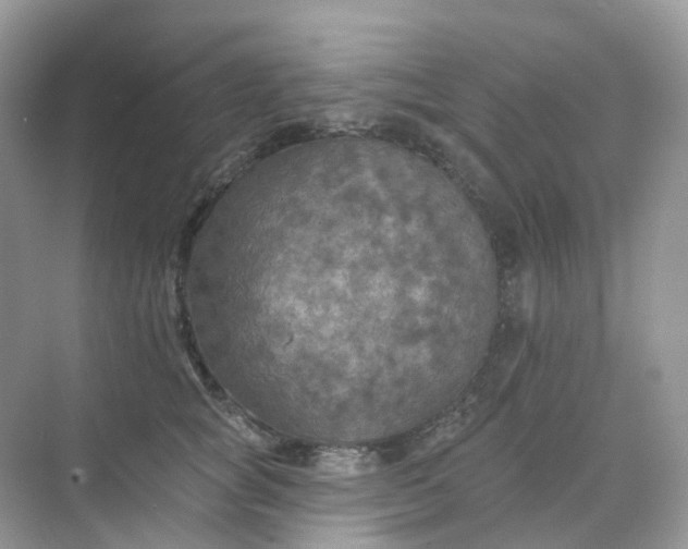 X0000068740757200605121543