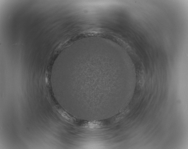 X0000068740758200605121543