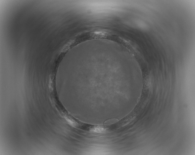 X0000068740759200605121544