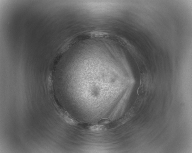 X0000068740761200605121544