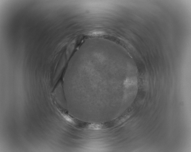 X0000068740762200605121544