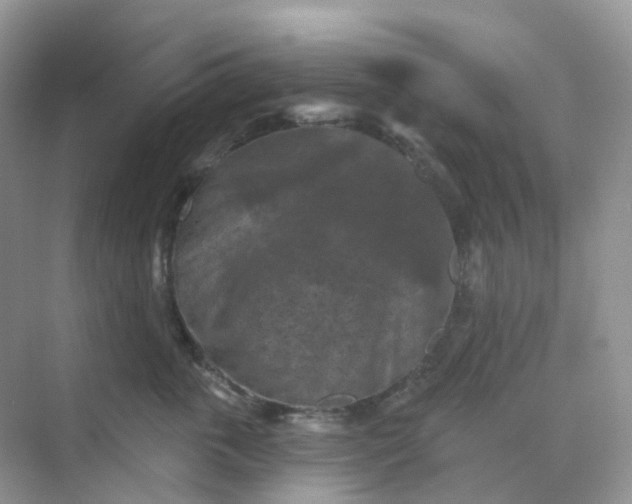 X0000068740763200605121544