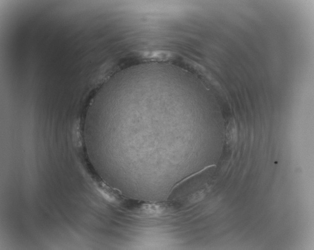 X0000068740764200605121544