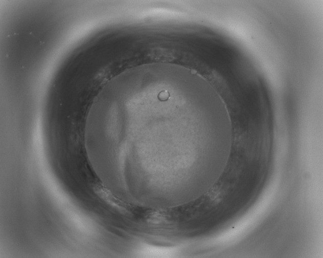 X0000068740765200605121544