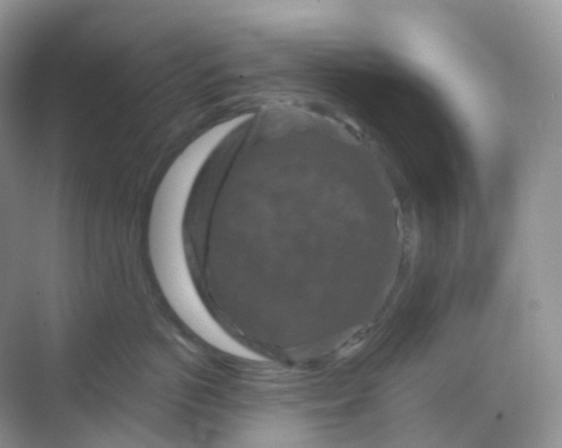 X0000068740766200605121544