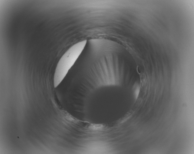 X0000068740767200605121544