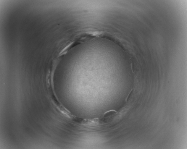 X0000068740768200605121544