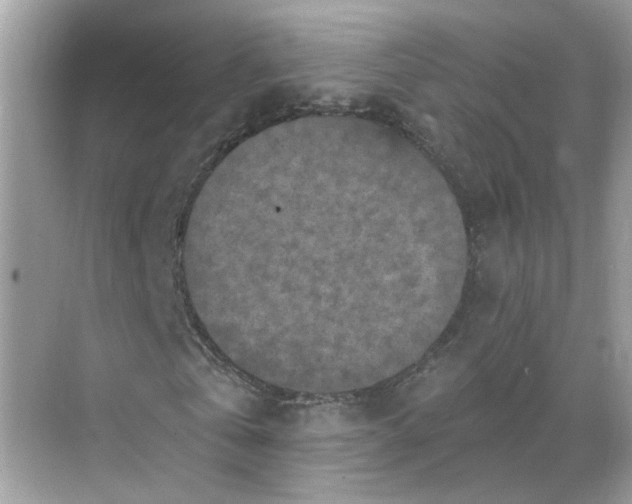 X0000068740769200605121543