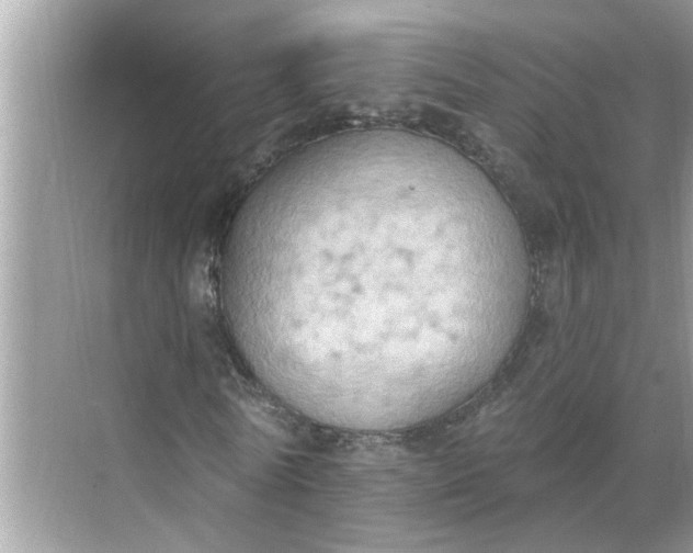 X0000068740770200605121543