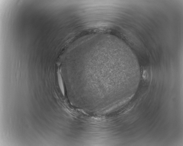 X0000068740771200605121543