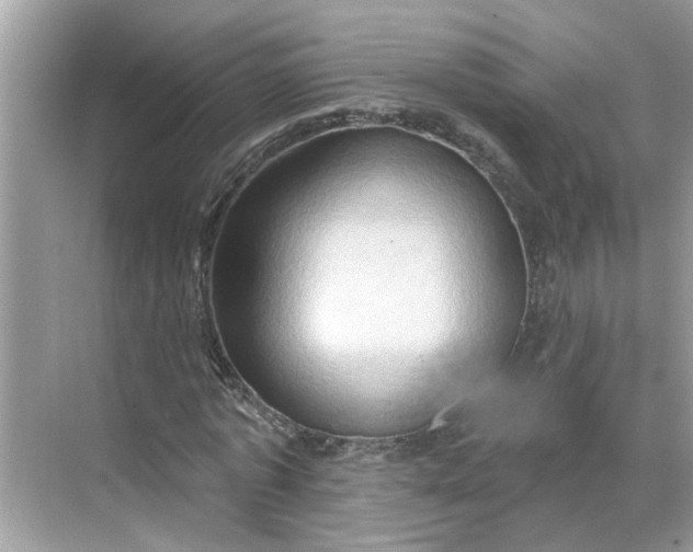 X0000068740773200605121543