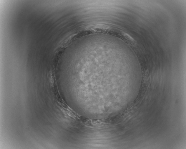 X0000068740774200605121543