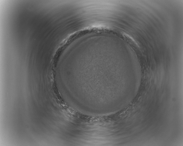 X0000068740776200605121543