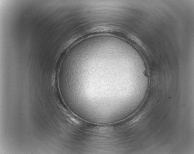 X0000068740778200605121543