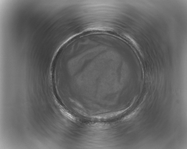 X0000068740779200605121543