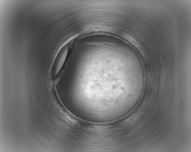 X0000068740782200605121543