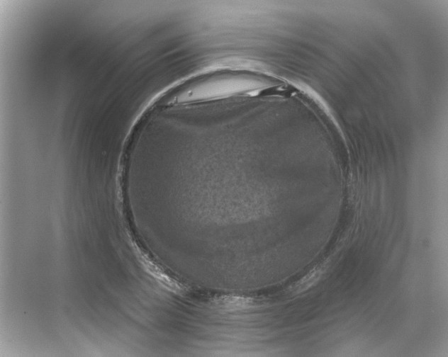 X0000068740783200605121543