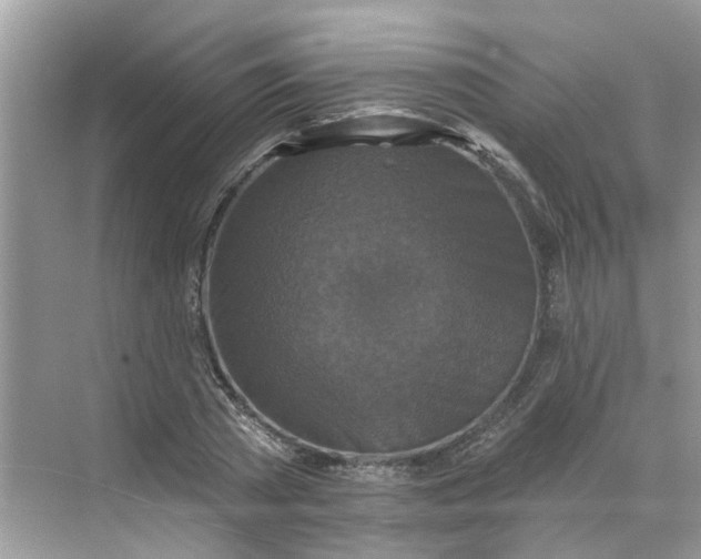 X0000068740785200605121543