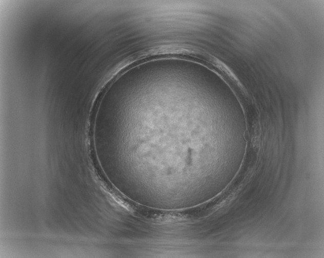 X0000068740786200605121543