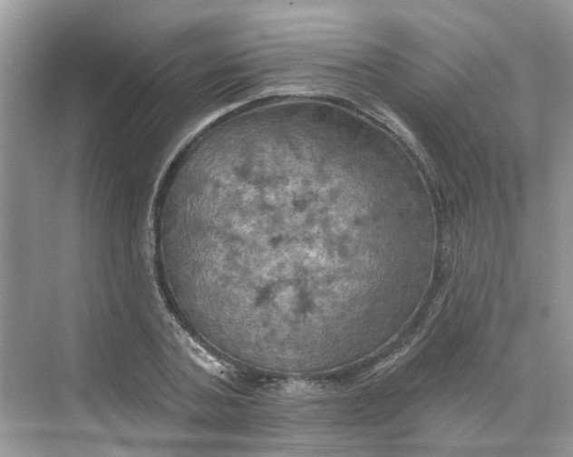 X0000068740787200605121543