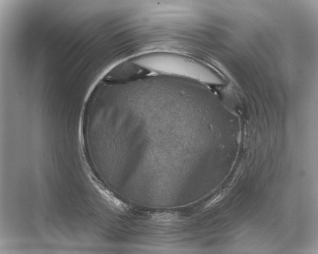 X0000068740788200605121543