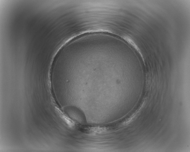 X0000068740789200605121543