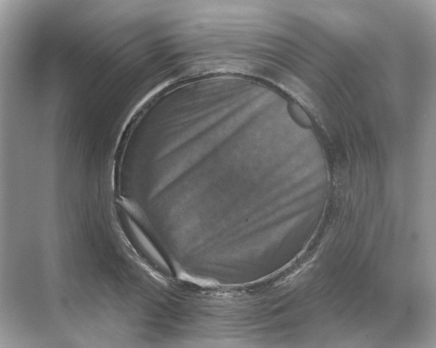 X0000068740790200605121543