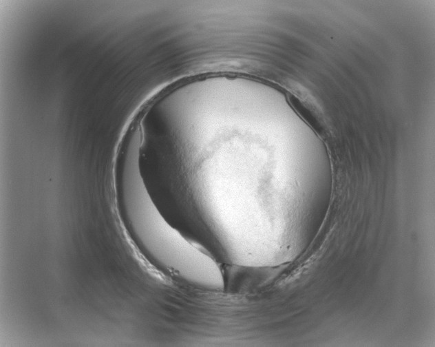 X0000068740792200605121542