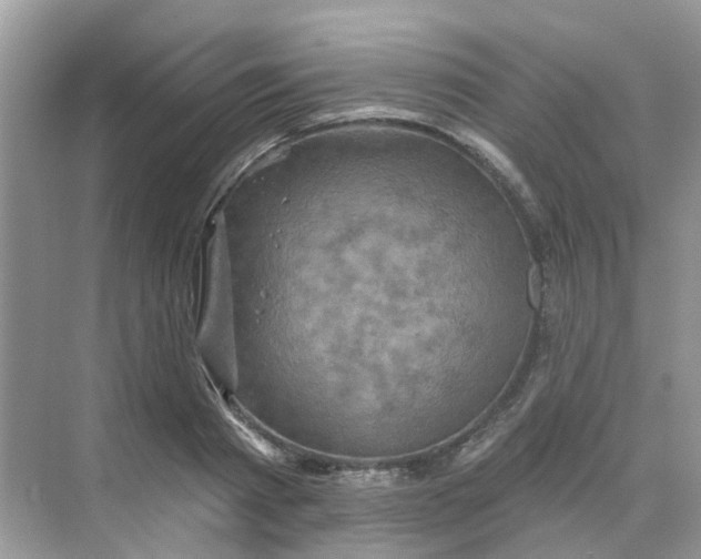 X0000068740793200605121542