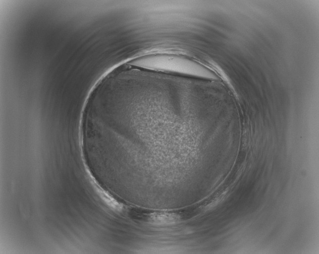 X0000068740795200605121542